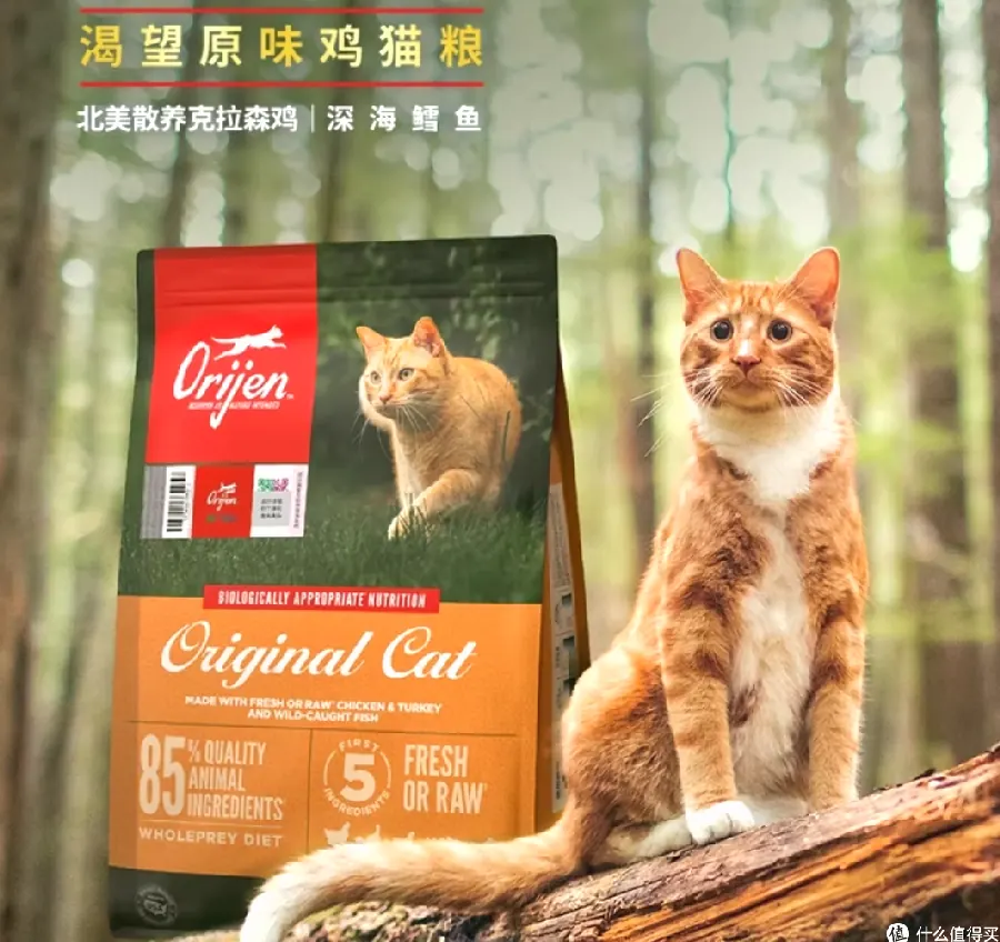 猫咪猫粮猫砂配图7