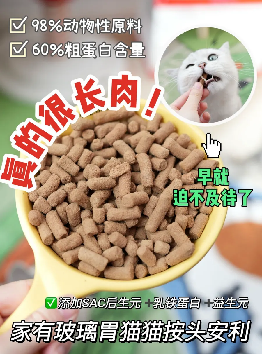 猫咪猫咪健康配图8