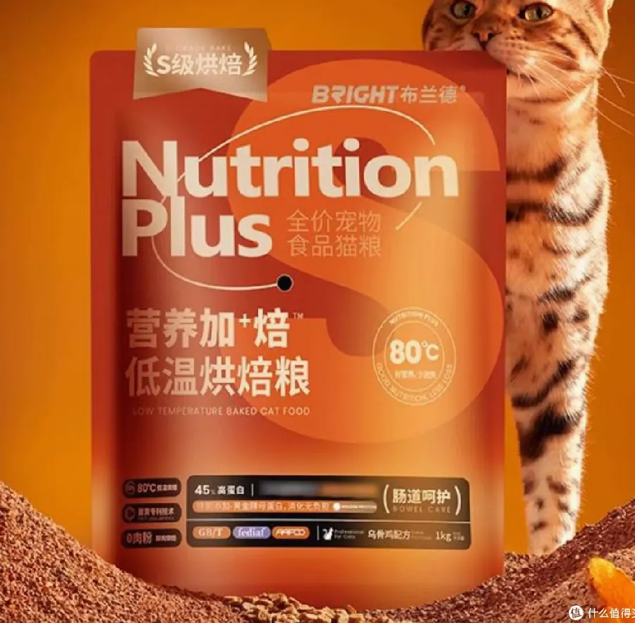 猫粮颗粒大小与口腔健康：怎么选