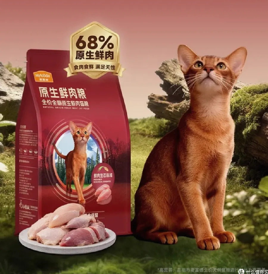 猫咪吃太快怎么办？慢食碗与进食习惯示意图