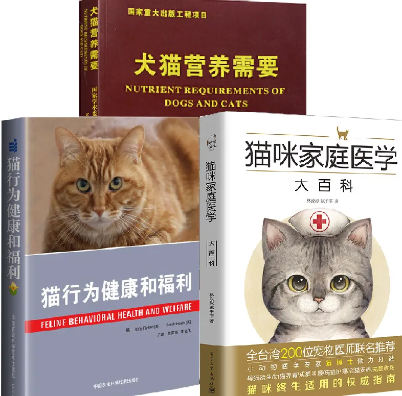 猫咪刷牙怎么刷?口腔护理入门示意图