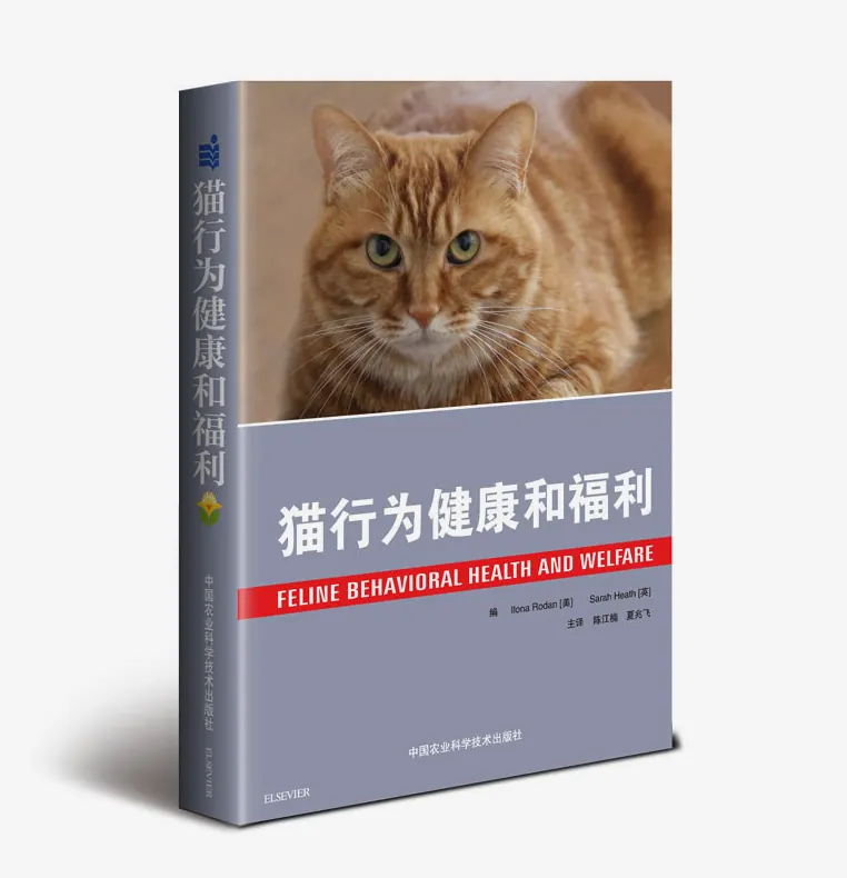 猫咪泪痕怎么处理？眼睛分泌物的护理示例图