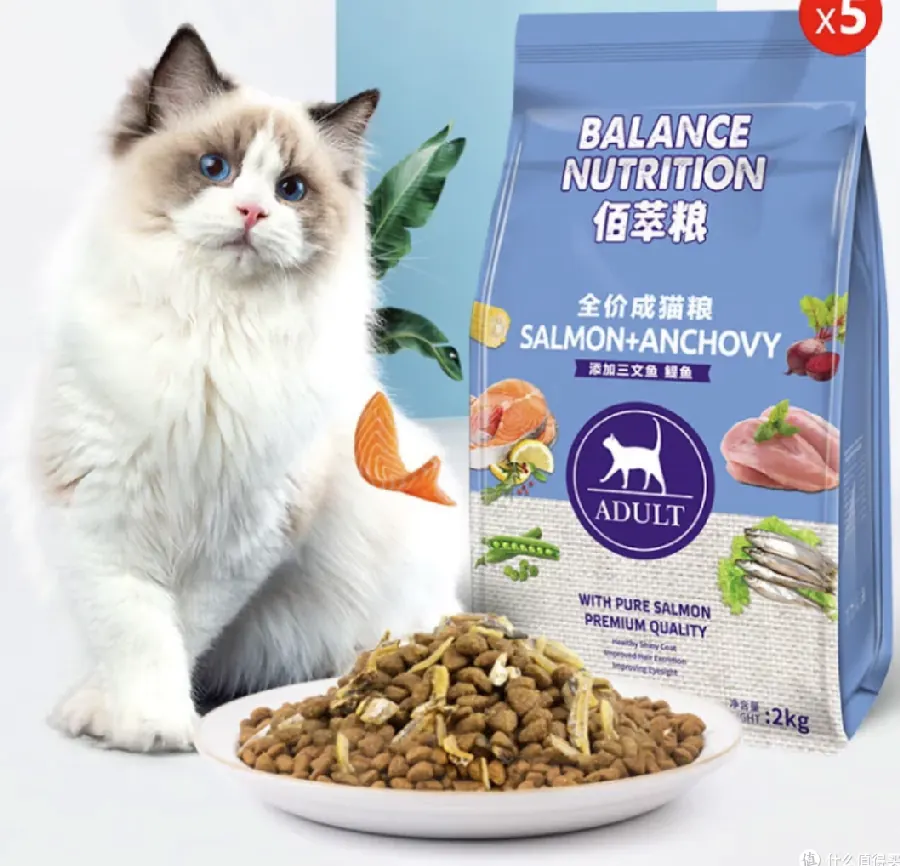 猫粮颗粒大小与口腔健康：怎么选示意图