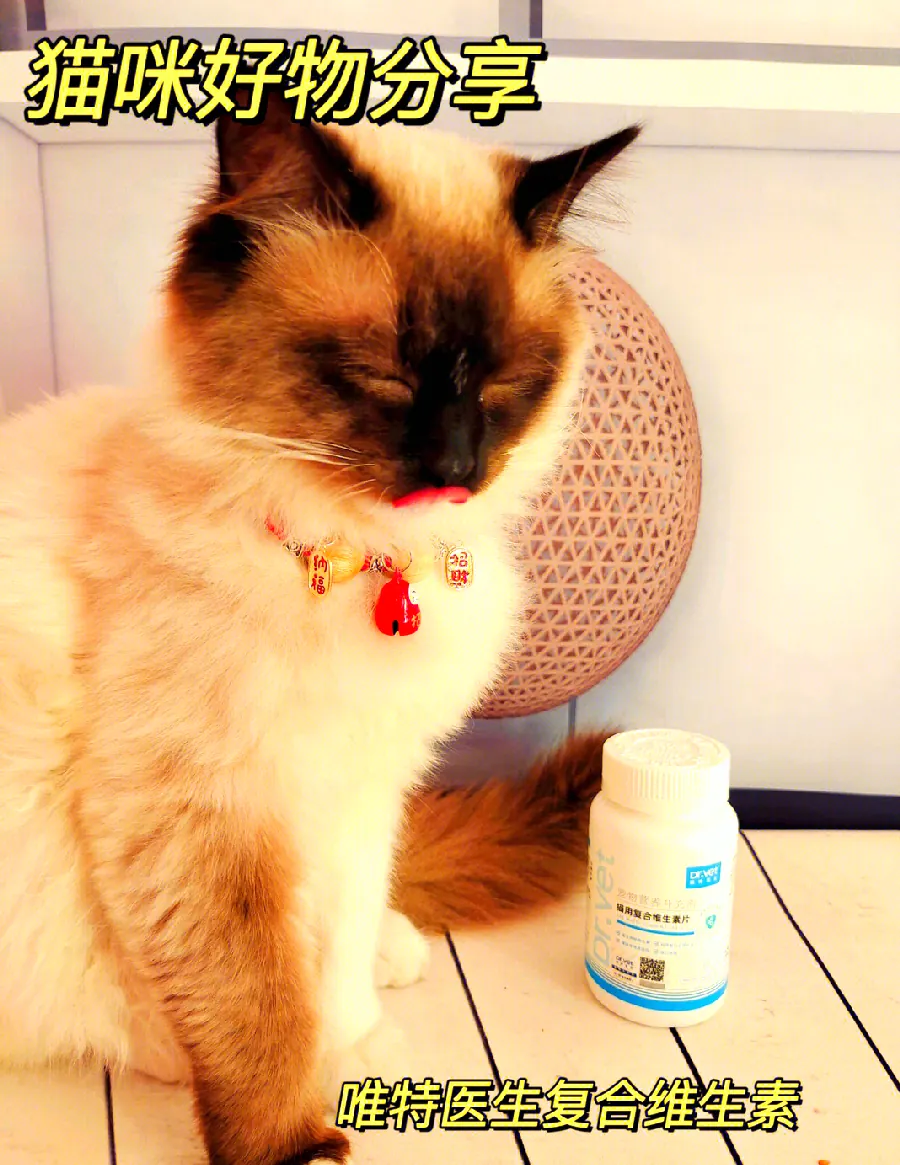 猫咪猫咪健康配图4